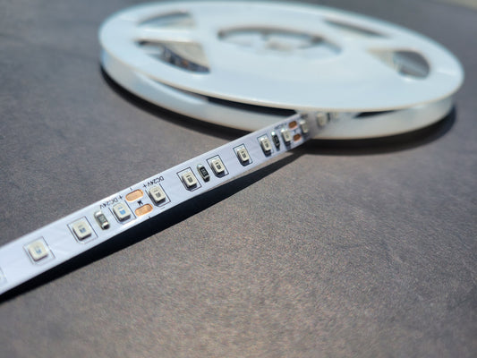 24V Single-Color LED Strip Light – Red, Green, Blue | 5M or 10M Roll | 120 LEDs/m | Indoor Use | High-Brightness Accent Lighting